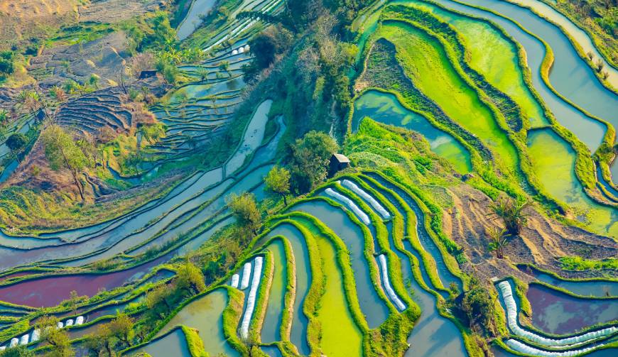 走进山阳区TVC拍摄：解锁本地化场景与创意镜头的完美融合